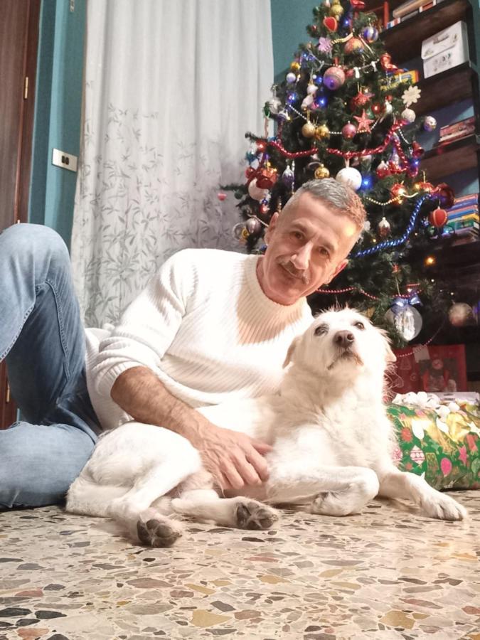A Un Passo Da... B&B Elmas Εξωτερικό φωτογραφία